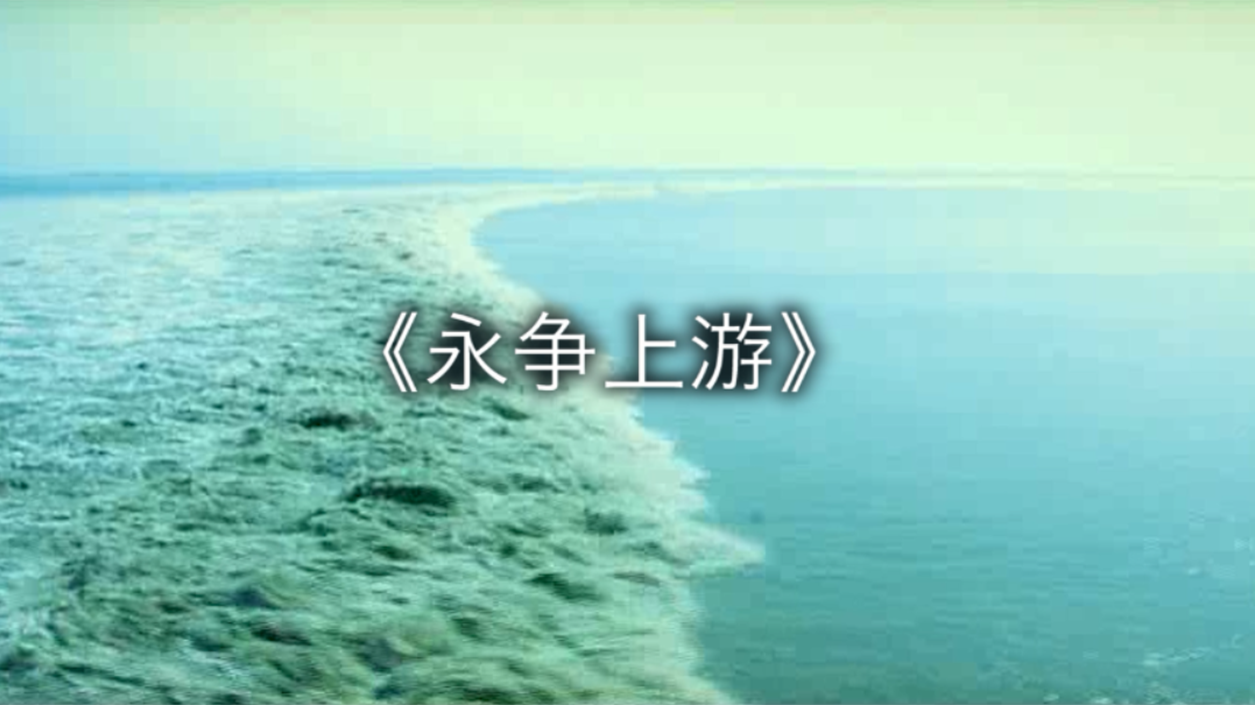 九洲国际