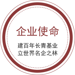 九洲国际